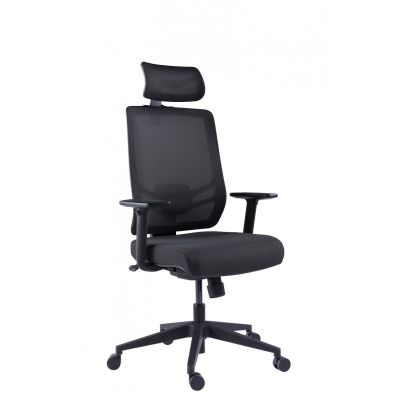    GT Chair InFlex Z