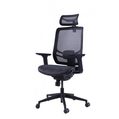    GT Chair InFlex M