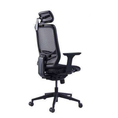    GT Chair InFlex M