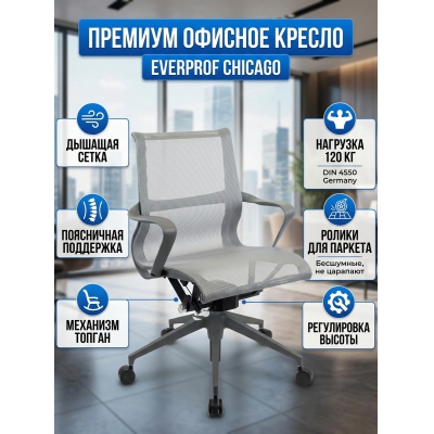 ������� ������ ��� ��������� Everprof Chicago