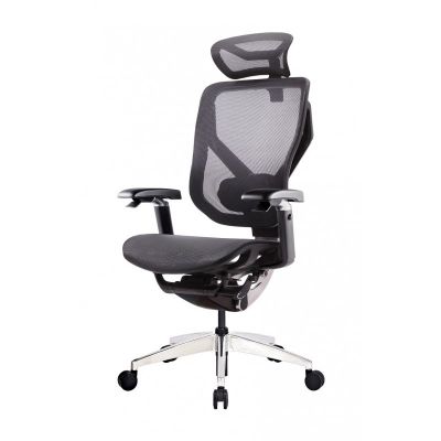    GT Chair VIDA X