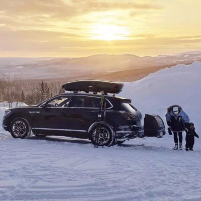  Thule Motion XT L (700)