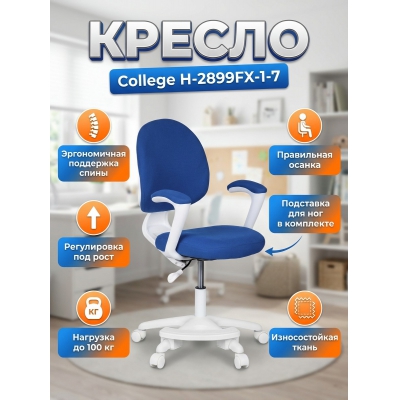 ������ College H-2899FX-1-7