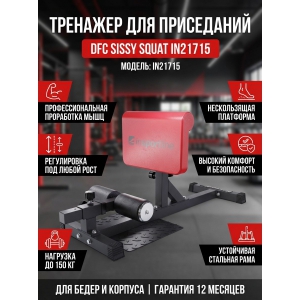 �������� ��� ���������� DFC Sissy Squat IN21715