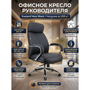 ������� ������ Everprof Maxi �������