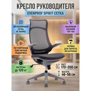 ������ ������������ Everprof Spirit �����, �����