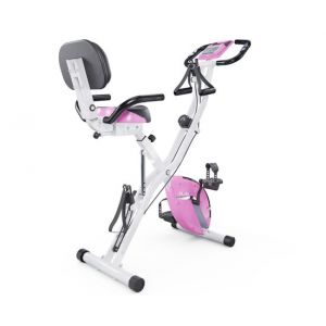 ������������ DFC X-Bike PLENY CF-917FM-2