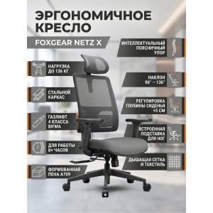 ������������ ������ FoxGear NETZ ������ X