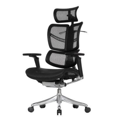 ������ � ��������� Falto Fly 2 �����, ������