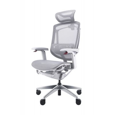������� ������������ ������ GTCHAIR Chair Marrit X Pro, �����