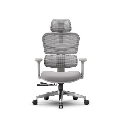 ������������ ������������ ������ FoxGear NETZ ������ XO - office edition, �����