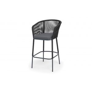 ���� ������ �������� 4SIS �������