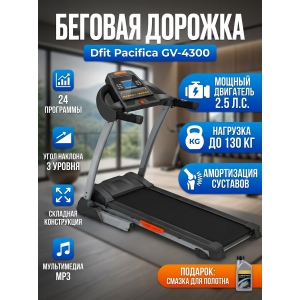 �������� ������� ������� Dfit Pacifica GV-4300