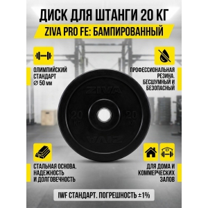 ���� ������������� ZIVA Pro F� 20 ��