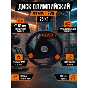 ���� ����������� 25 �� ZIVA ZVO-DCRB-2307