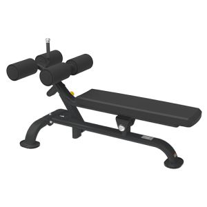     Bronze Gym BR-1005