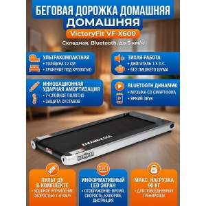 ���������� ������� ������� VictoryFit VF-X600