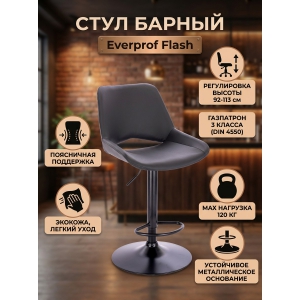 ���� ������ Everprof Flash �������