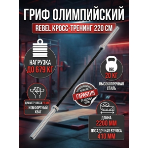 ���� ��� �����-�������� REBEL �� 679 ��