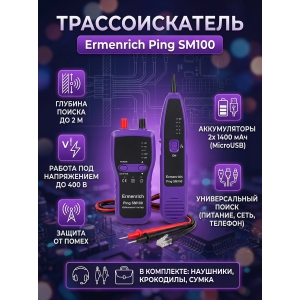 �������������� Ermenrich Ping SM100, ����������