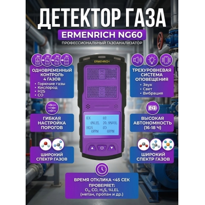 �������� ���� Ermenrich NG60, ����������