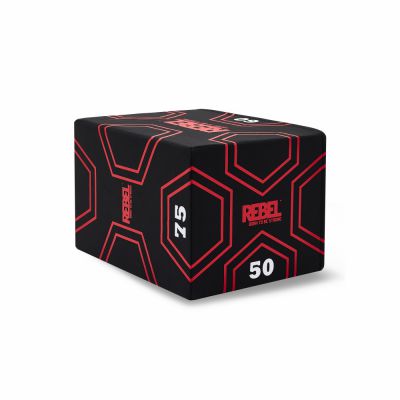 ��������������� ���� REBEL 3 � 1